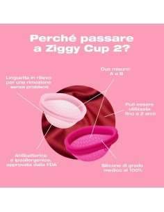 Ziggy Cup 2 Intimina - De Sade Shop 2