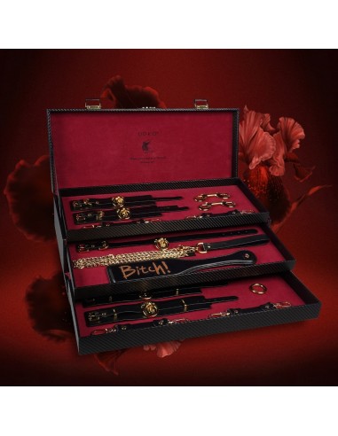 Leather Kinky Tools Set - De Sade Shop